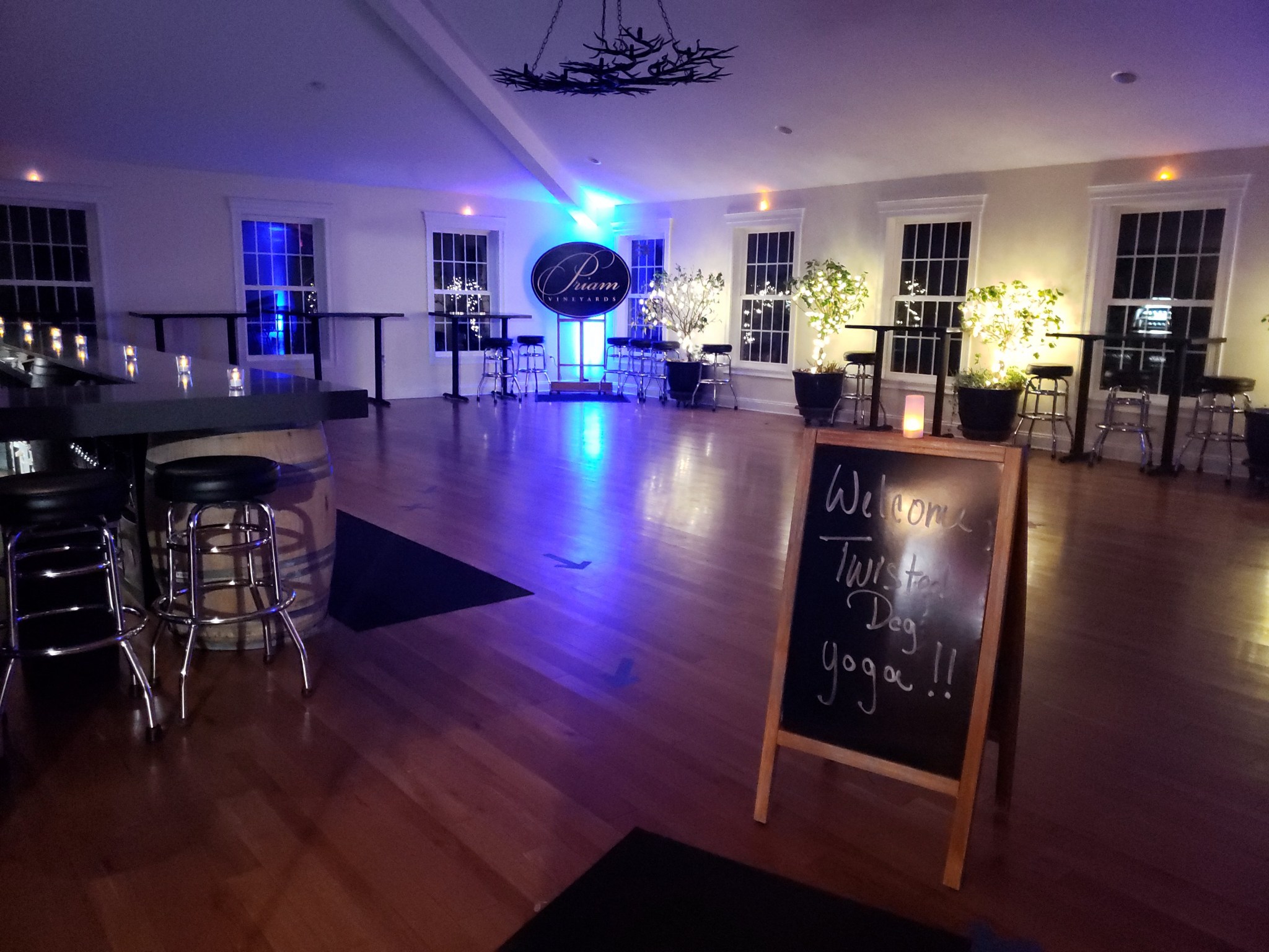 Twisted Dog Yoga Home