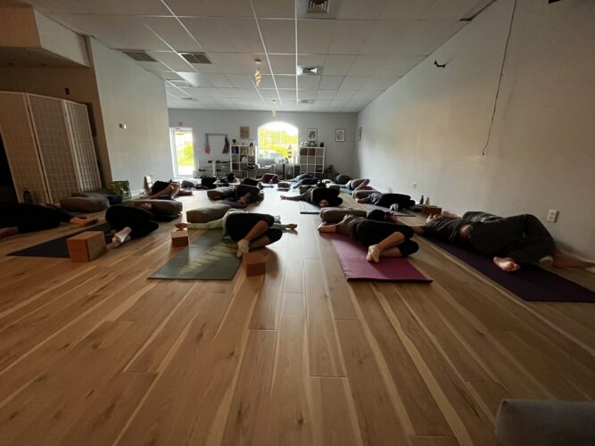 FlexSpace Studio Rental | Twisted Dog Yoga