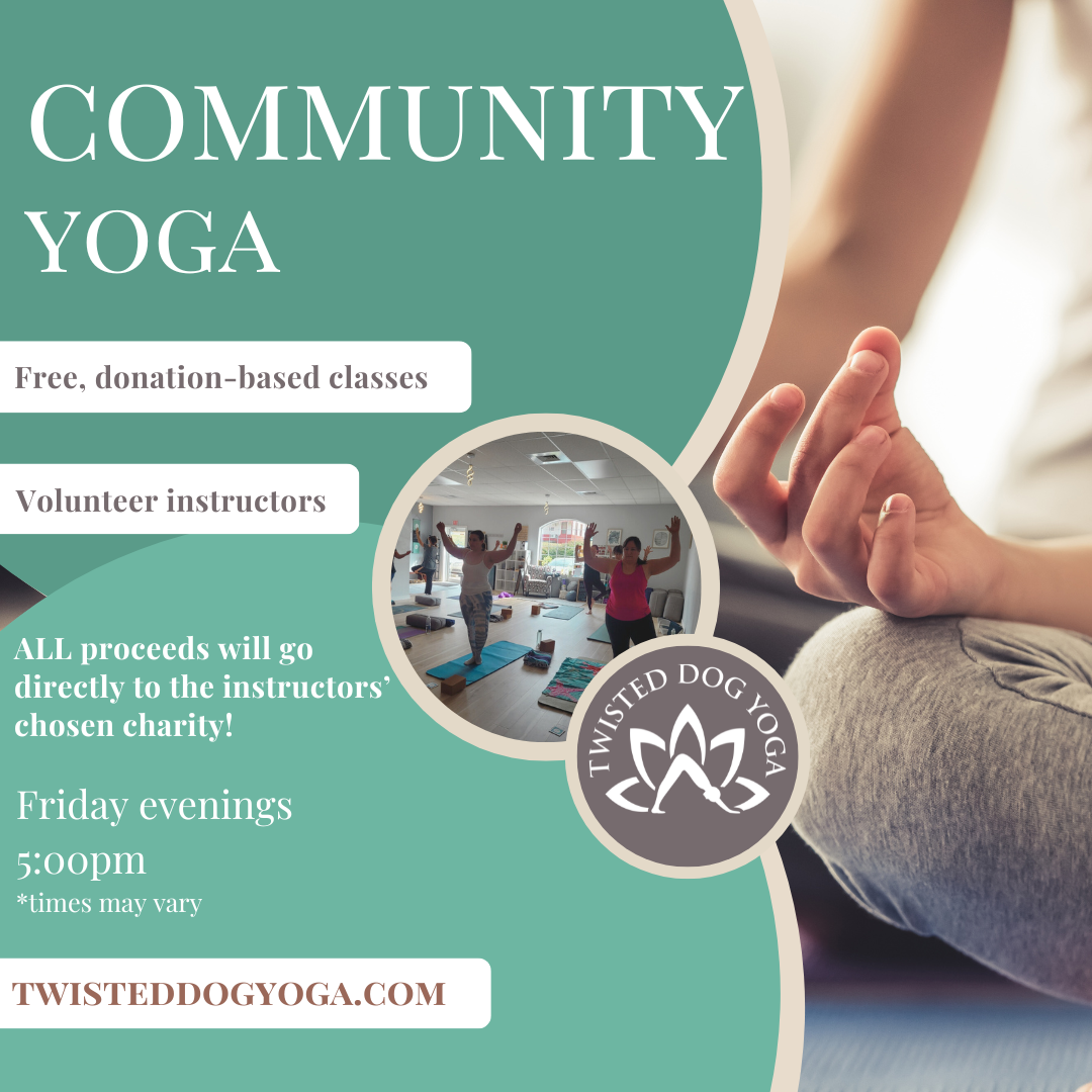 Twisted Dog Yoga Studio Colchester CT